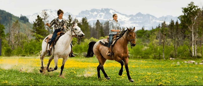 Confident plus-size woman riding Welwyn Garden City a horse through a field with a smile on her face.